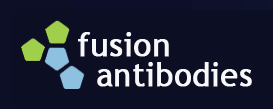 Fusion Antibodies plc